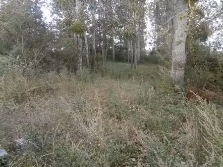 vente terrain 2370 m² saint-georges-sur-la-prée (18100)