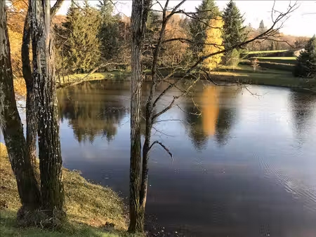 vente terrain 9963 m² saint-léger-bridereix (23300)