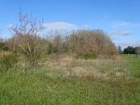 vente terrain 2745 m² à saint-médard-de-mussidan (24400)  33 500 €