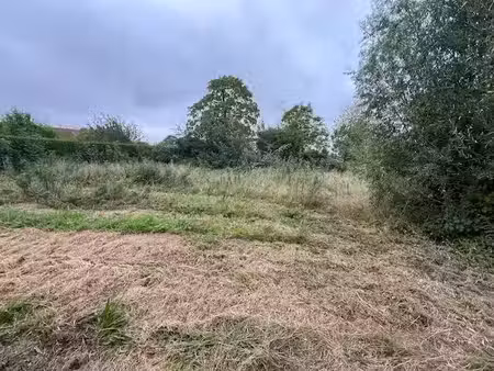 vente terrain 1270 m² campagne-lès-hesdin (62870)