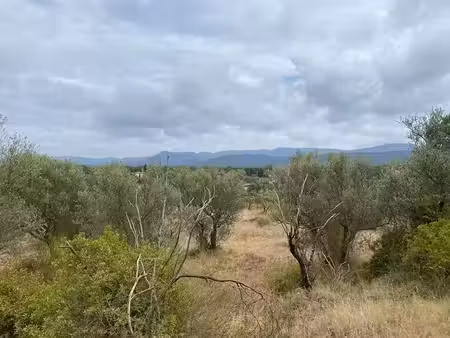 vente terrain 586 m² à gonfaron (83590)  125 000 €
