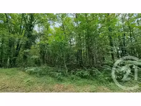 vente terrain à batir 2240 m² à milhac (46300)  29 000 €