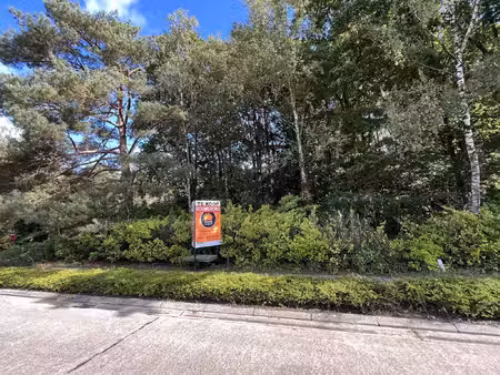 grond te koop in olen