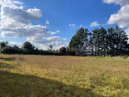 vente terrain  1979.00m²  pissotte