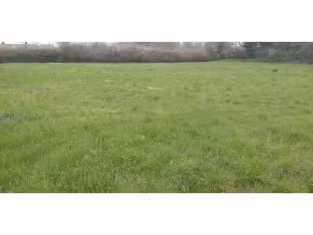 terrain constructible viabilisé à pleumartin