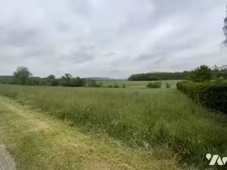 vente terrain à batir 833 m² à saint-euphraise-et-clairizet (51390)  95 000 €