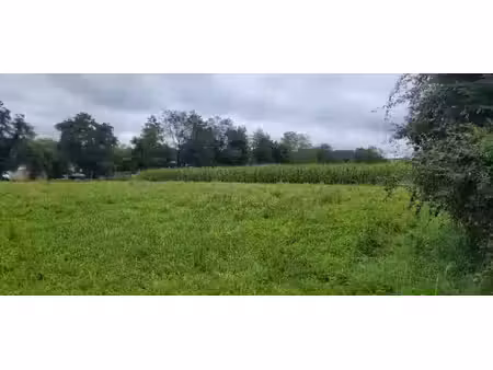vente terrain 1229 m² serres-sainte-marie (64170)