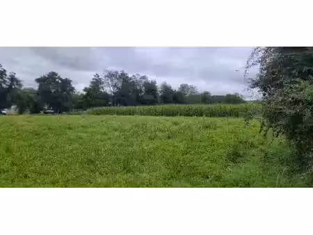 vente terrain serres-sainte-marie 64170 - - surface privée