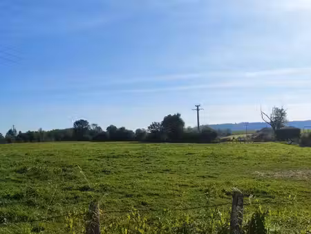 terrain constructible