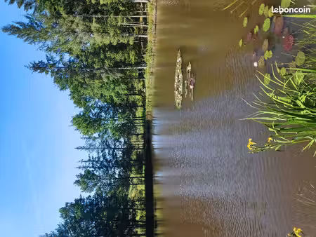 terrain avec 4 étangs