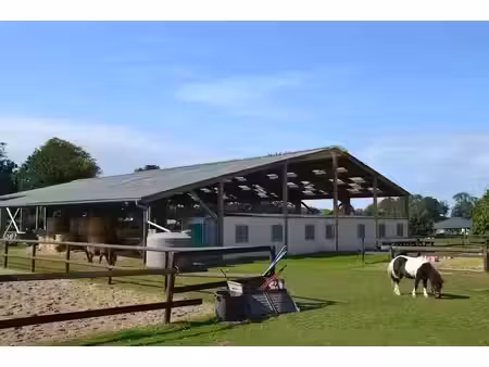 vente terrain 11400 m² à veules-les-roses (76980)  273 000 €
