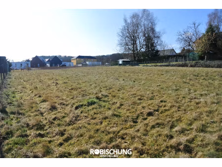 waldighoffen : terrain de 16.62 ares sur les hauteurs