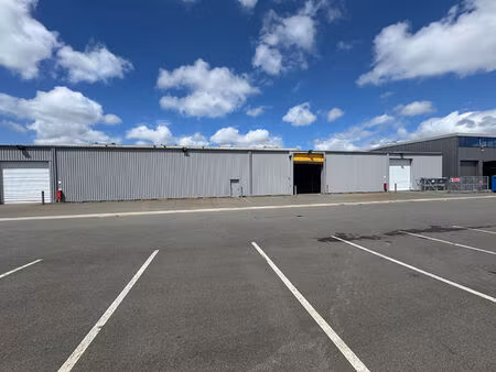 bâtiment de 1600m² à agneaux