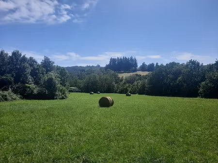 vente terrain 7430 m² à noailhac (81490)  121 000 €