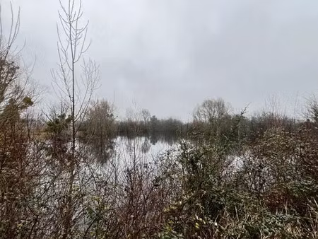 vente terrain 17737 m² à noyers-sur-cher (41140)  87 920 €