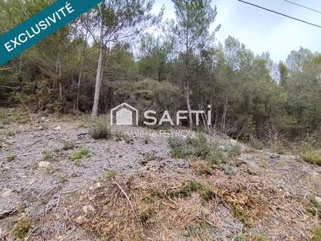 à vendre : terrain en zone forestière à mirabeau