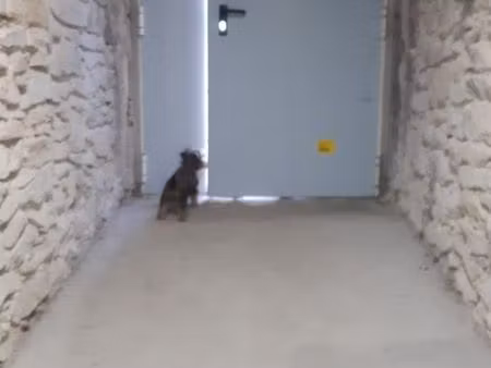 location espaces de stockages/caves