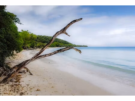 terrain exceptionnel 29 ha en bord de mer projet touristi