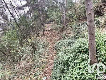 vente terrain à gorbio (06500) : à vendre / 1000m² gorbio