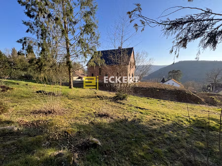 a heiligenberg   terrain de 9.79 ares