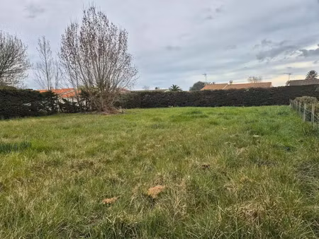 vente terrain à batir 1269 m² à le château-d'oléron (17480)  178 080 €