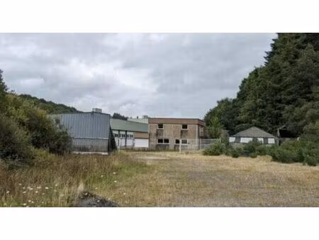 vente terrain poullaouen 99 483 m²