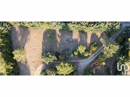 vente terrain à bâtir 1 006 m²