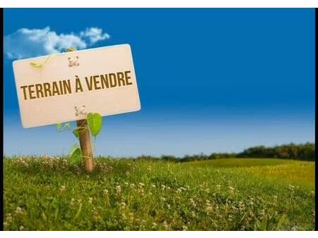 terrain constructible