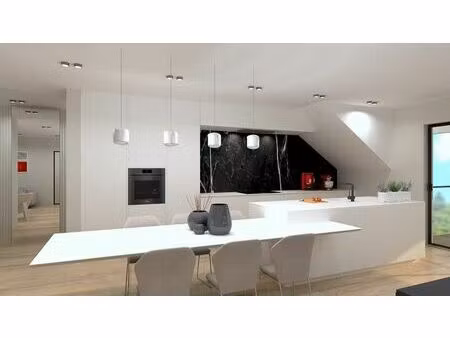 superbe penthouse 2 chambres avec 3 terrasses