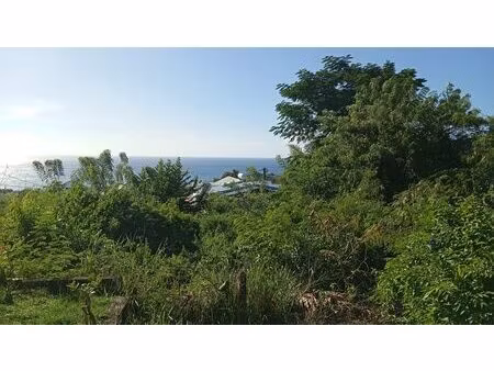 bois rimbaud  belle parcelle de 1500m²