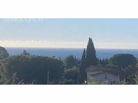 villa avec piscine et terrasse cannes (06)