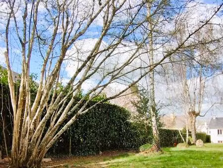 vente terrain à orvault (44700) : à vendre / 452m² orvault