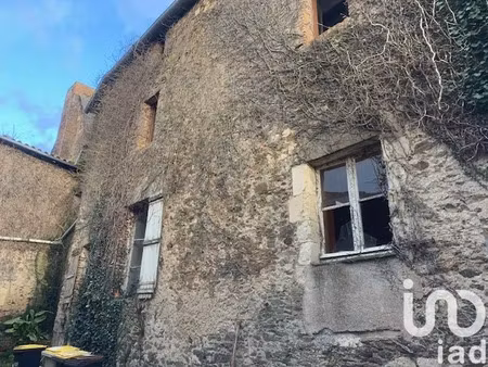 vente immeuble 300 m² à lys-haut-layon (49310)  79 900 €