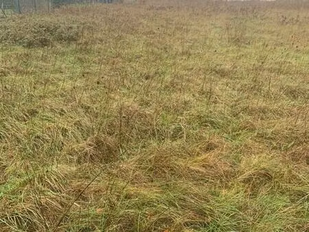 a vendre très beau terrain constructible de 1 289 m2