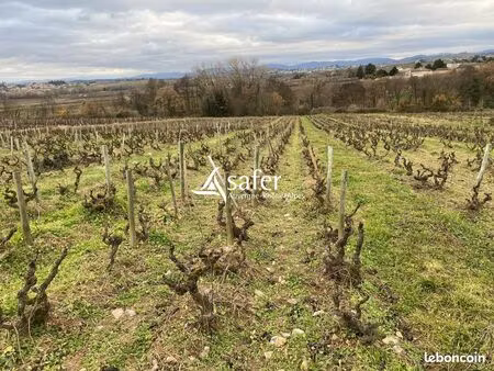 terrain 12425 m² fleurie