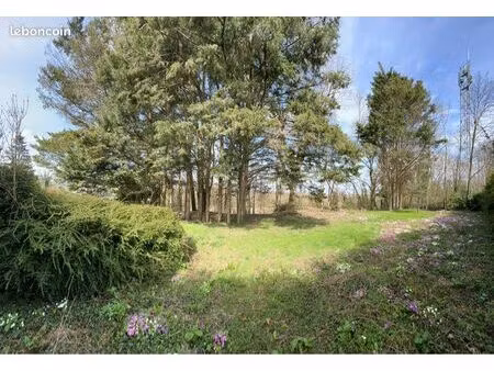 terrain de loisirs boisé