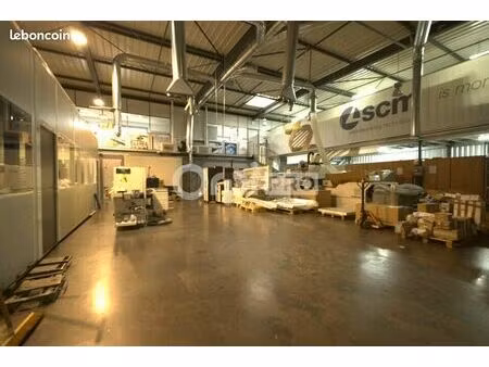 local d'activité 911 m²