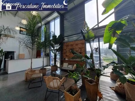 bureaux 489 m² lunel viel