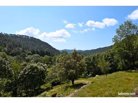 vente beau mas domaine de 8 hectares