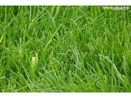 terrain 1 688 m² verjux