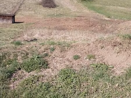 terrain constructible