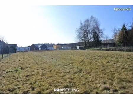 terrain 1662 m² waldighofen