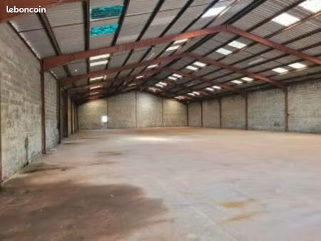 local d'activité 1 000 m²