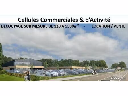 local commercial 2 000 m²