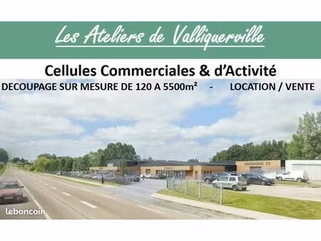 local d'activité 3 000 m²