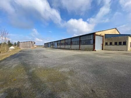 vente bureaux et commerces au luart (72390) : à vendre / 2500m² le luart