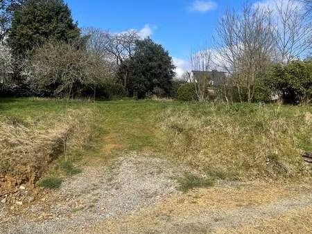 vente terrain à saint-médard-sur-ille (35250) : à vendre / 748m² saint-médard-sur-ille