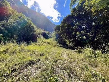 exceptionnel : terrain sur 38 600 m2 environ au coeur de la possession