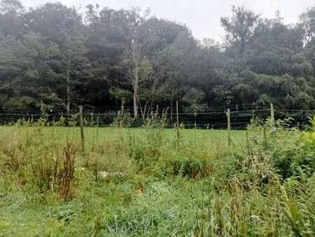 vente terrain à dénestanville (76590) : à vendre / 699m² dénestanville