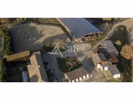 maison avec jardin noaillac (33)